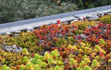 the cost of Tillyloss green roof installation