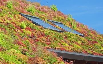 Tillyloss living roof systems