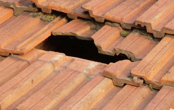 roof repair Tillyloss, Angus