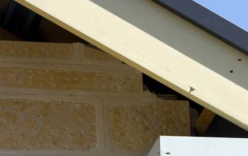 soffit repair Tillyloss